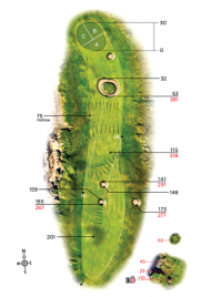 Photographic with lines Tees in corner