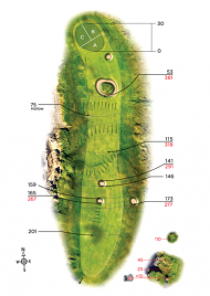 Photographic with arcs Tees in corner